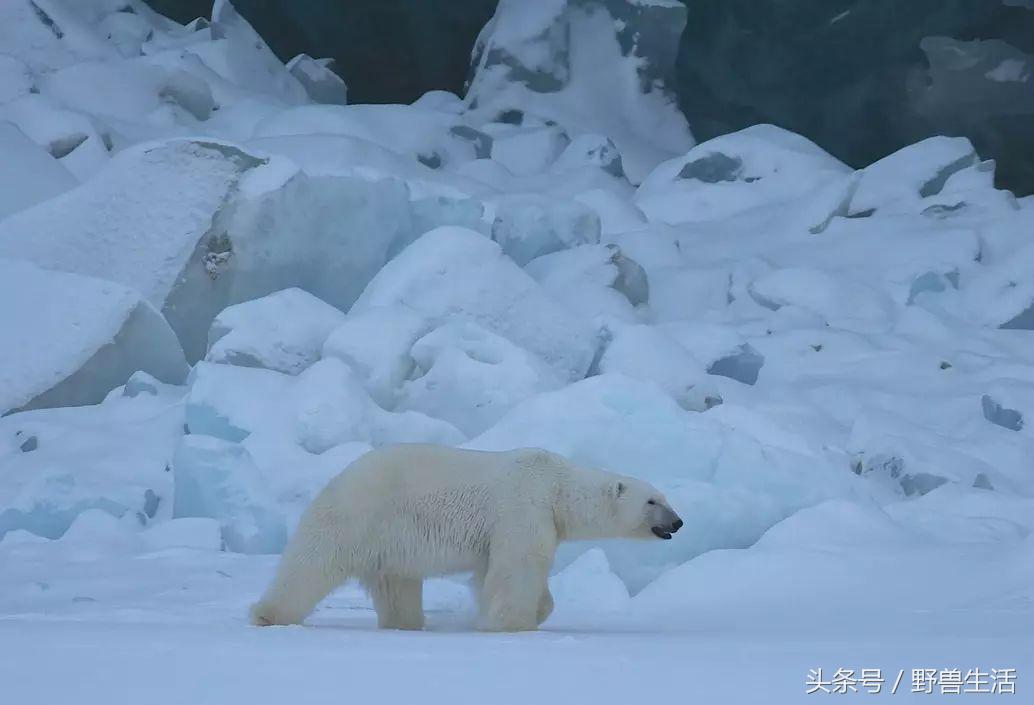 世界上最值得去的秘境,世界上南端的一处秘境