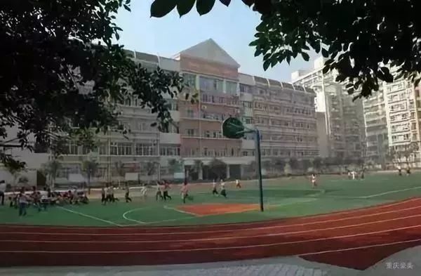 重庆渝北区小学划片一览表2021,重庆九龙坡区小学划片一览表