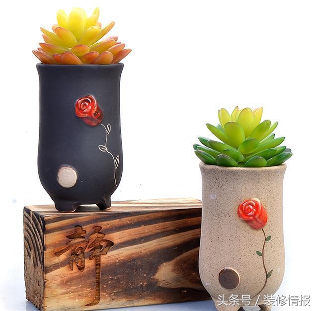 为什么水养吊兰根粗叶黄,吊兰冬天叶黄和干怎么回事