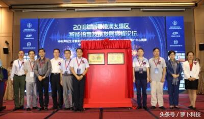 政策力促人工智能产业发展,大湾区人工智能峰会