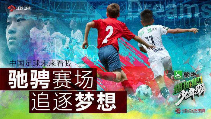 蒙牛世界杯星空杯什么样,蒙牛世界杯冰川杯