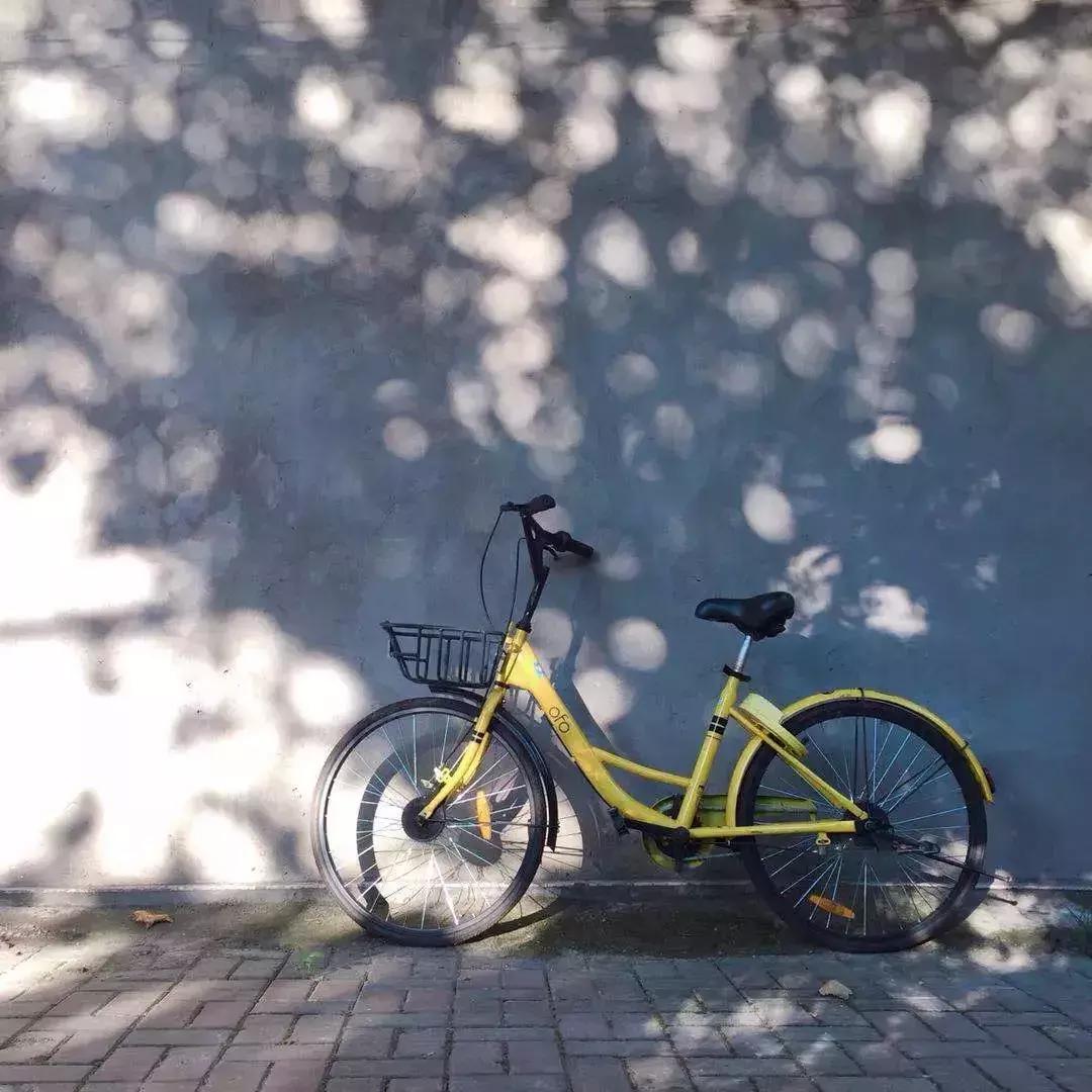 手机摄影人像摄影作品欣赏,手机摄影最顶级的极简作品照片