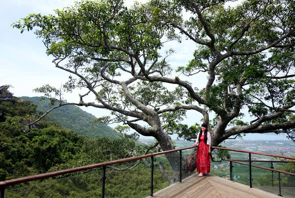 晒黑攻略,晒黑指南