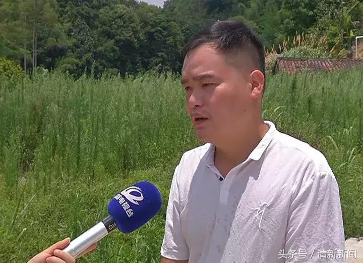 太平人快看,秦皇山心村的路有大变化啦!