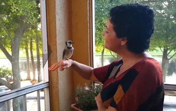 万物皆有灵救了蛇王一命,万物皆有灵救了一只狼崽