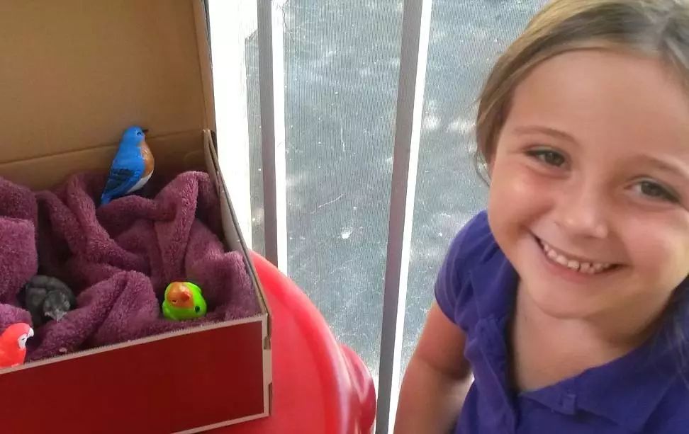 万物皆有灵性一个女孩救了只小鸟,万物皆有灵救小鸟