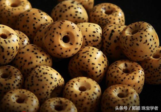 星月菩提的种类和盘玩,星月菩提值得盘玩的种类