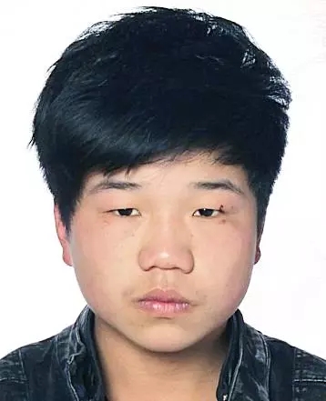 湖北悬赏通缉一涉恶在逃人员照片,红安特大涉黑团伙案