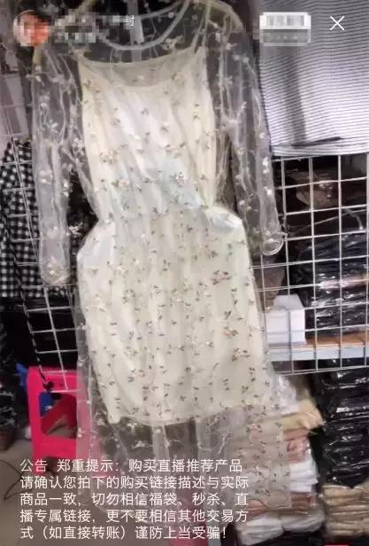 不靠直播赚钱的网红,不靠网红挣钱