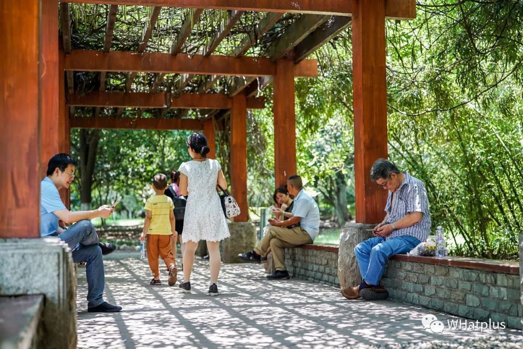 水调歌头江阳,水调歌头游乐园