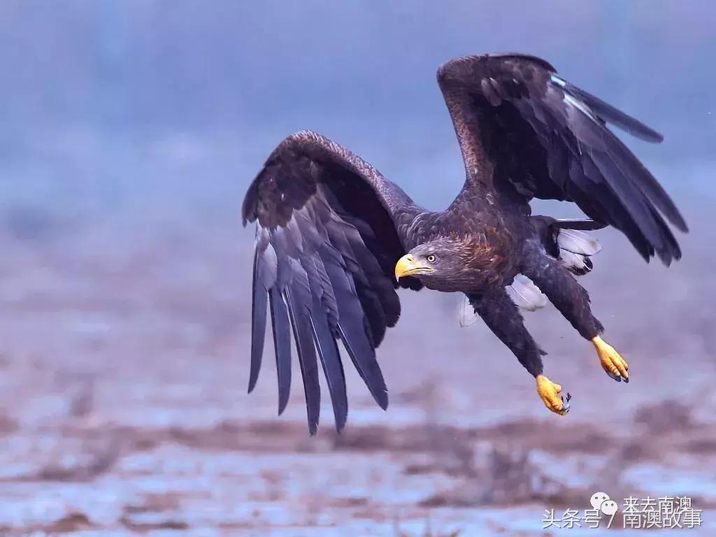 这座小岛究竟隐藏了多少秘密,一座鲜为人知的隐藏小岛