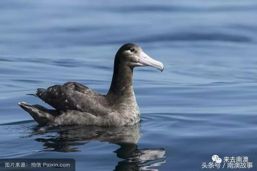 这座小岛究竟隐藏了多少秘密,一座鲜为人知的隐藏小岛