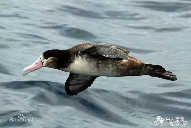 这座小岛究竟隐藏了多少秘密,一座鲜为人知的隐藏小岛