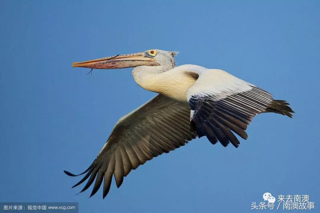 这座小岛究竟隐藏了多少秘密,一座鲜为人知的隐藏小岛