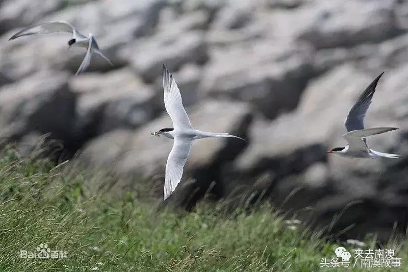 这座小岛究竟隐藏了多少秘密,一座鲜为人知的隐藏小岛