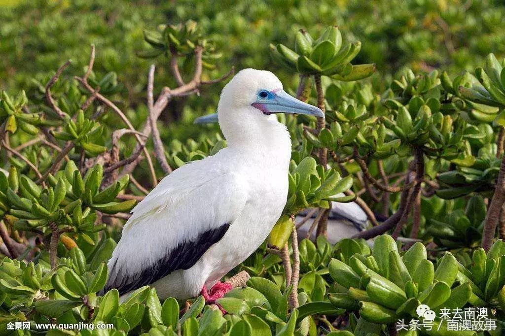这座小岛究竟隐藏了多少秘密,一座鲜为人知的隐藏小岛