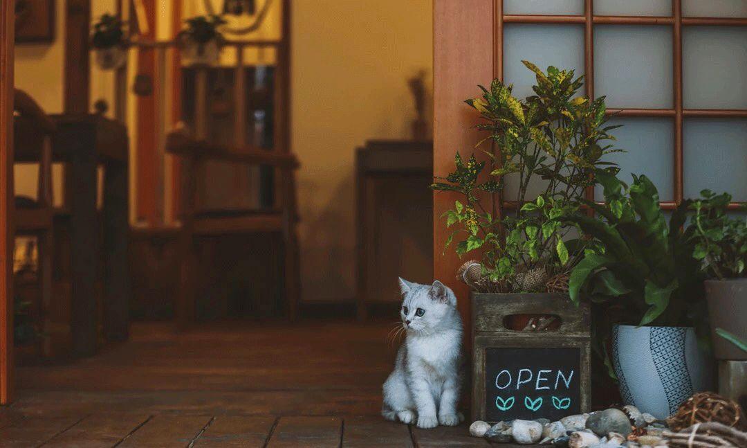 宽窄巷子旁边的物美价廉的巷子,宽窄巷子周边特色小街