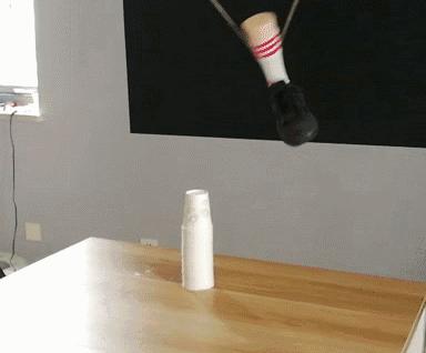 法国队夺冠经历,法国队夺冠反应