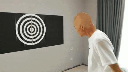 法国队夺冠经历,法国队夺冠反应