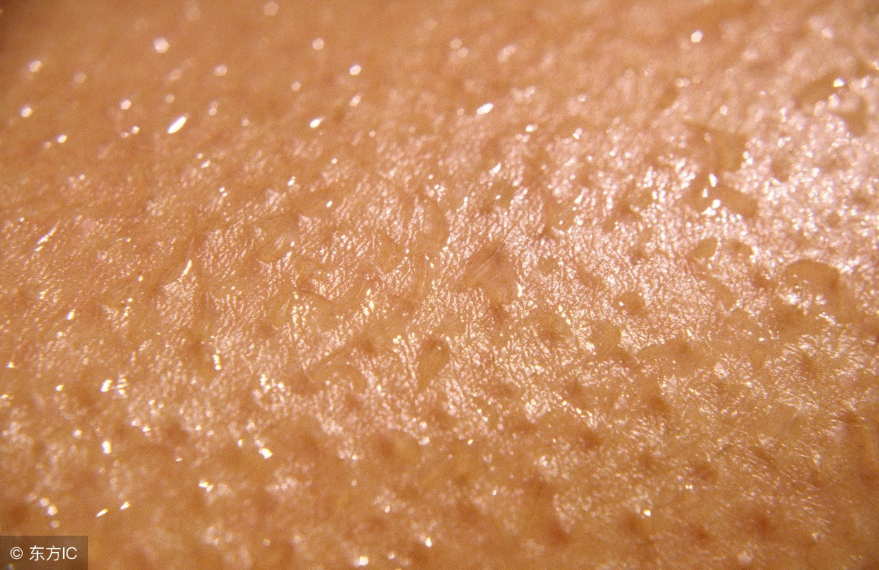 湿气是百病之源夏季湿气一招解决,寒湿体质重有什么危害