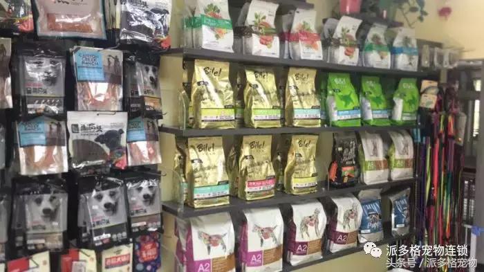 派多格宠物美容教程视频,派多格宠物用品有限公司