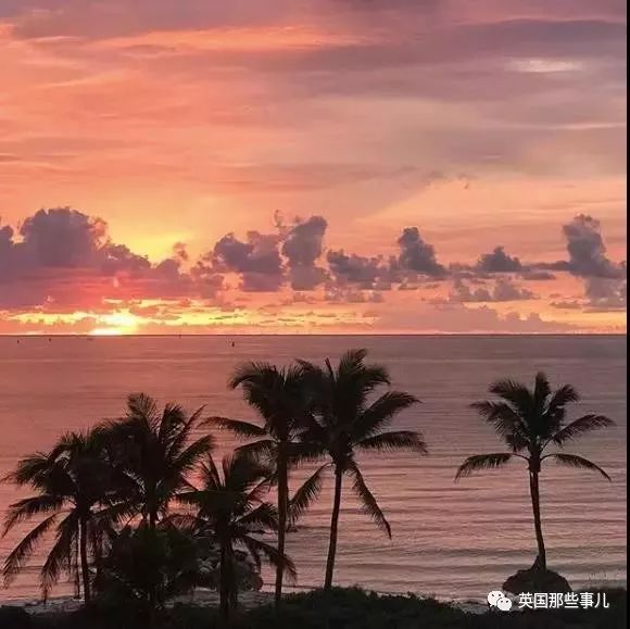 当众点了猪肉，这个土豪中东假王子现在要面临30年牢狱了