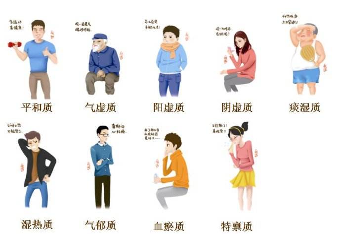 气虚体质调养攻略,气虚体质的科普知识