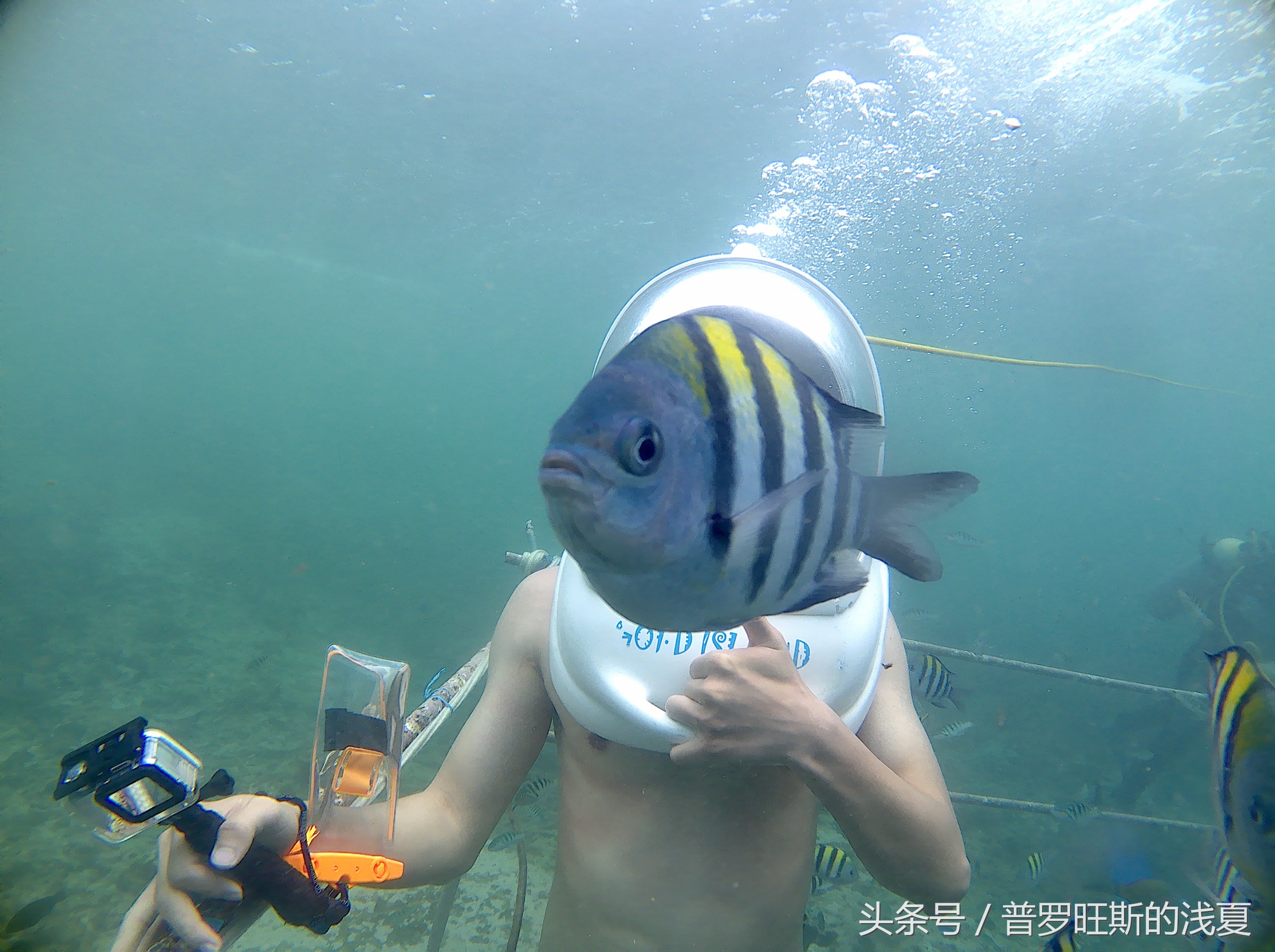 巴厘岛5天旅游攻略视频,巴厘岛六天五晚旅游行程