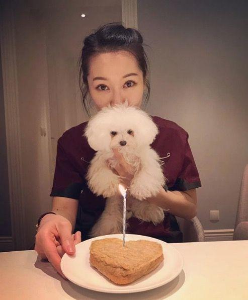 王祖蓝投资tvb,王祖蓝代言费是多少