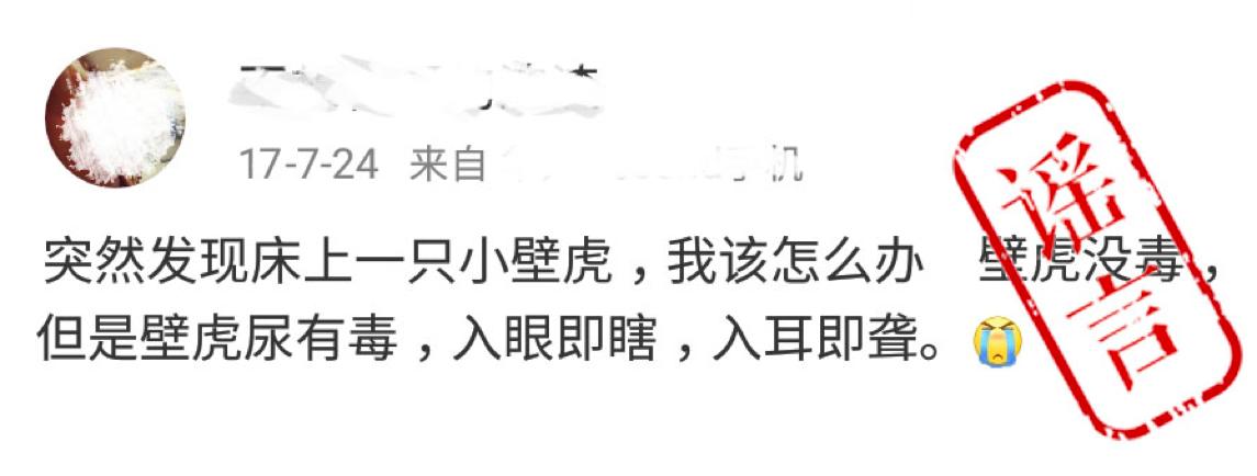 有剧毒又可怕的动物,动物界的十大毒性最强