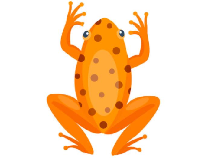 有剧毒的动物可以毁容吗,有剧毒又可怕的动物