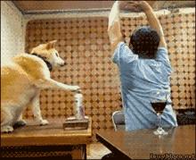 lavilin兰味莲祛味膏盒装,兰味莲走珠止汗露和安利哪个好用