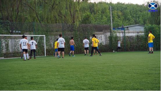 充满激情的绿茵场,激情飞扬绿茵赛场