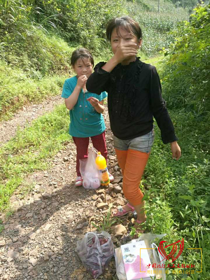 提供一对一帮扶方案,一对一帮扶安排