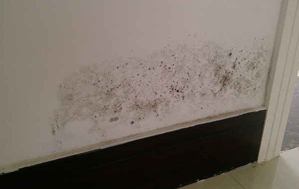 墙上的水渍印怎样去除,室内墙上的痕渍怎么清除