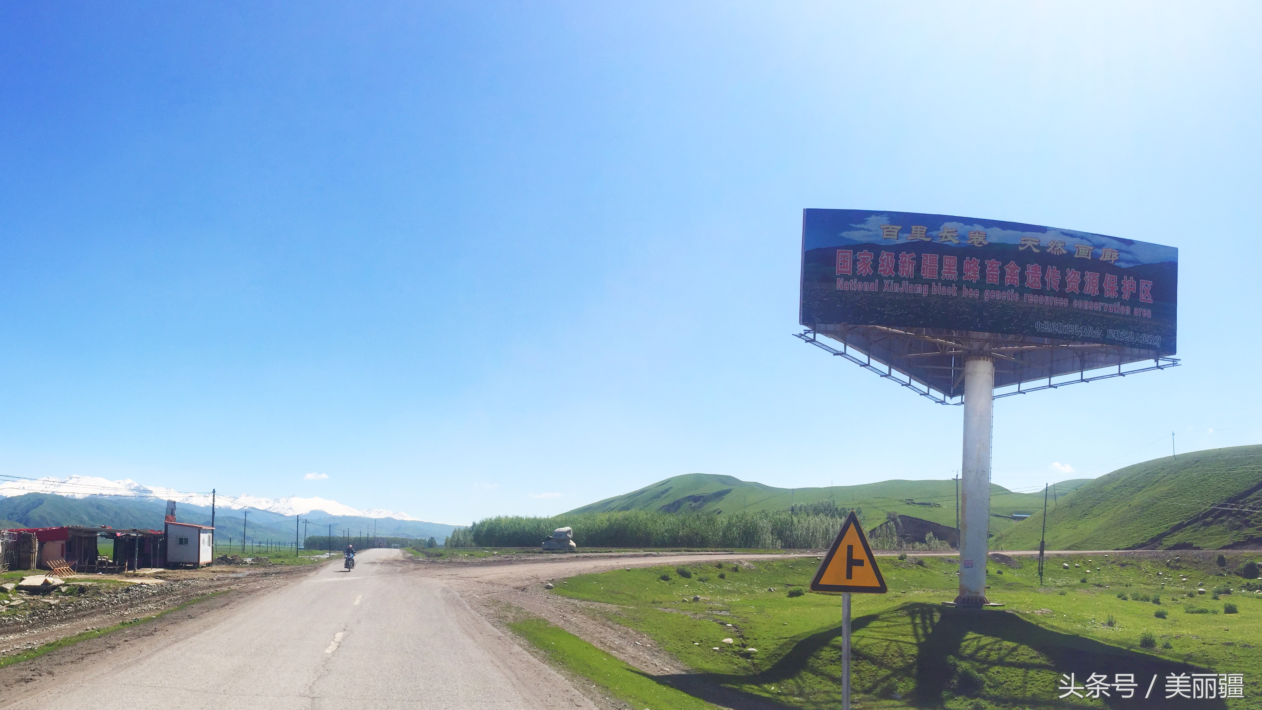 新疆黑蜂基地伊犁,新疆尼勒克县黑蜂蜂蜜