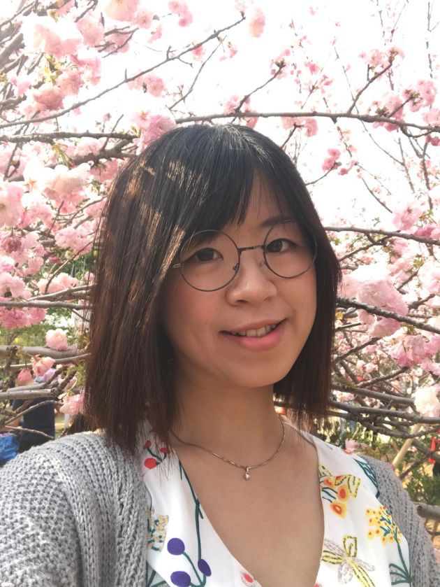 喜羊羊全部人帅气画法,喜羊羊创作团队