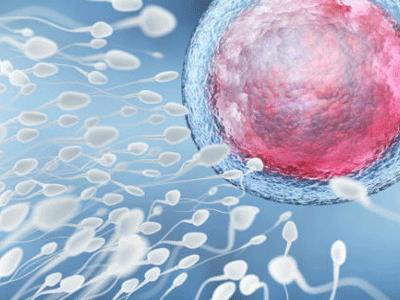 戳中泪点!做试管遭遇尴尬事Top5