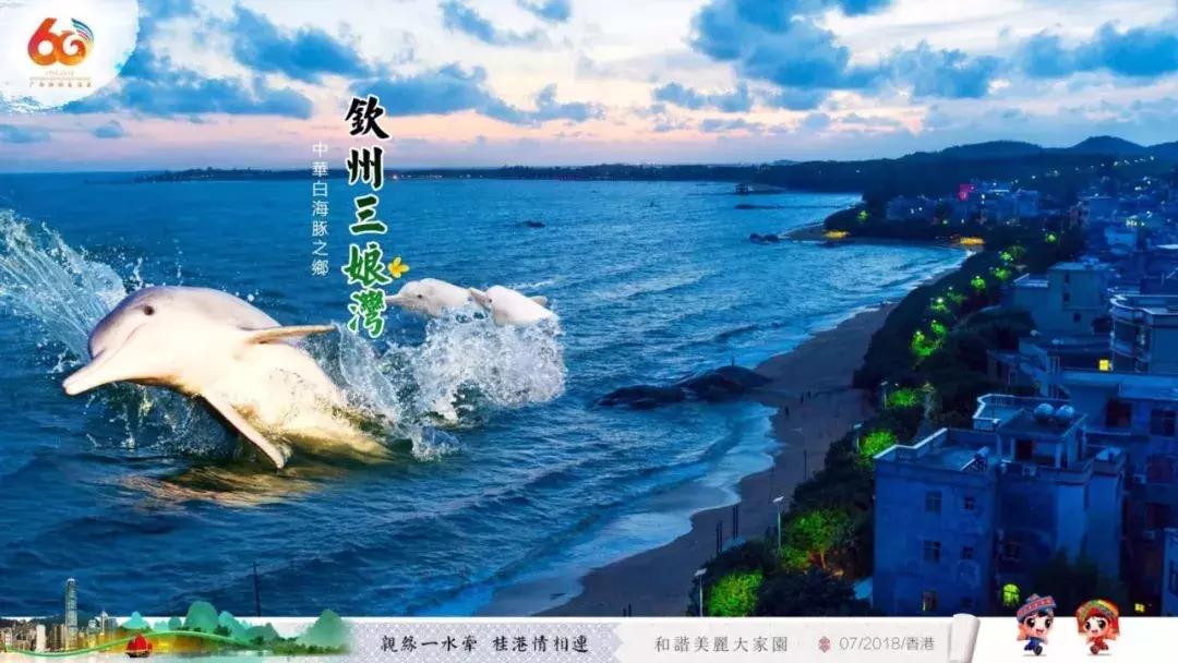 在广西代表团讲话,广西代表团来到深圳