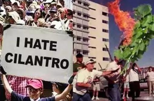 什么食物比鲱鱼罐头还难吃,盘点九种最黑暗的食物鲱鱼罐头