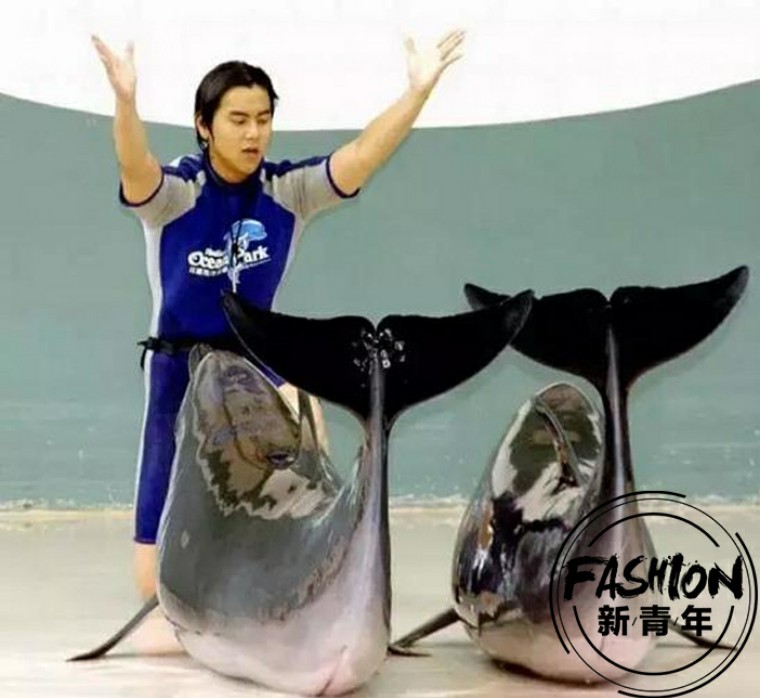 彭于晏邪不压正身材照,彭于晏邪不压正横屏