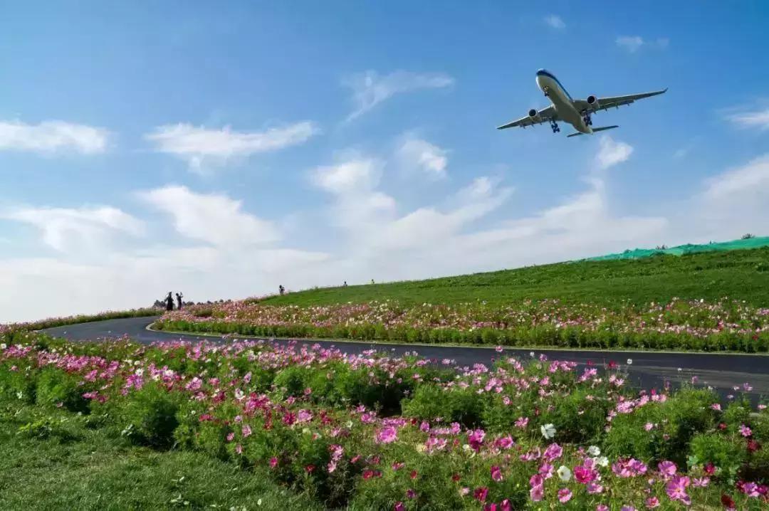 羡慕住在城市的人,羡慕住在重庆成都的人