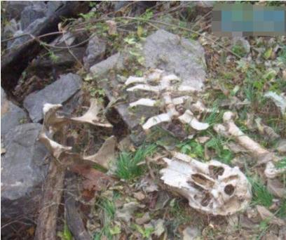 诡异的图片灵异事件,灵异事件全景图