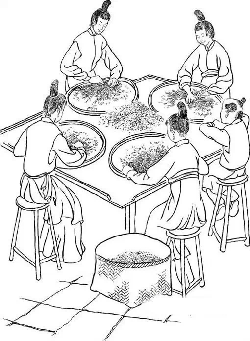 大红袍制茶工艺流程,大红袍还原烧工艺