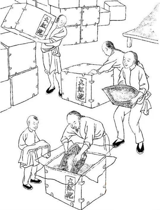 大红袍制茶工艺流程,大红袍还原烧工艺