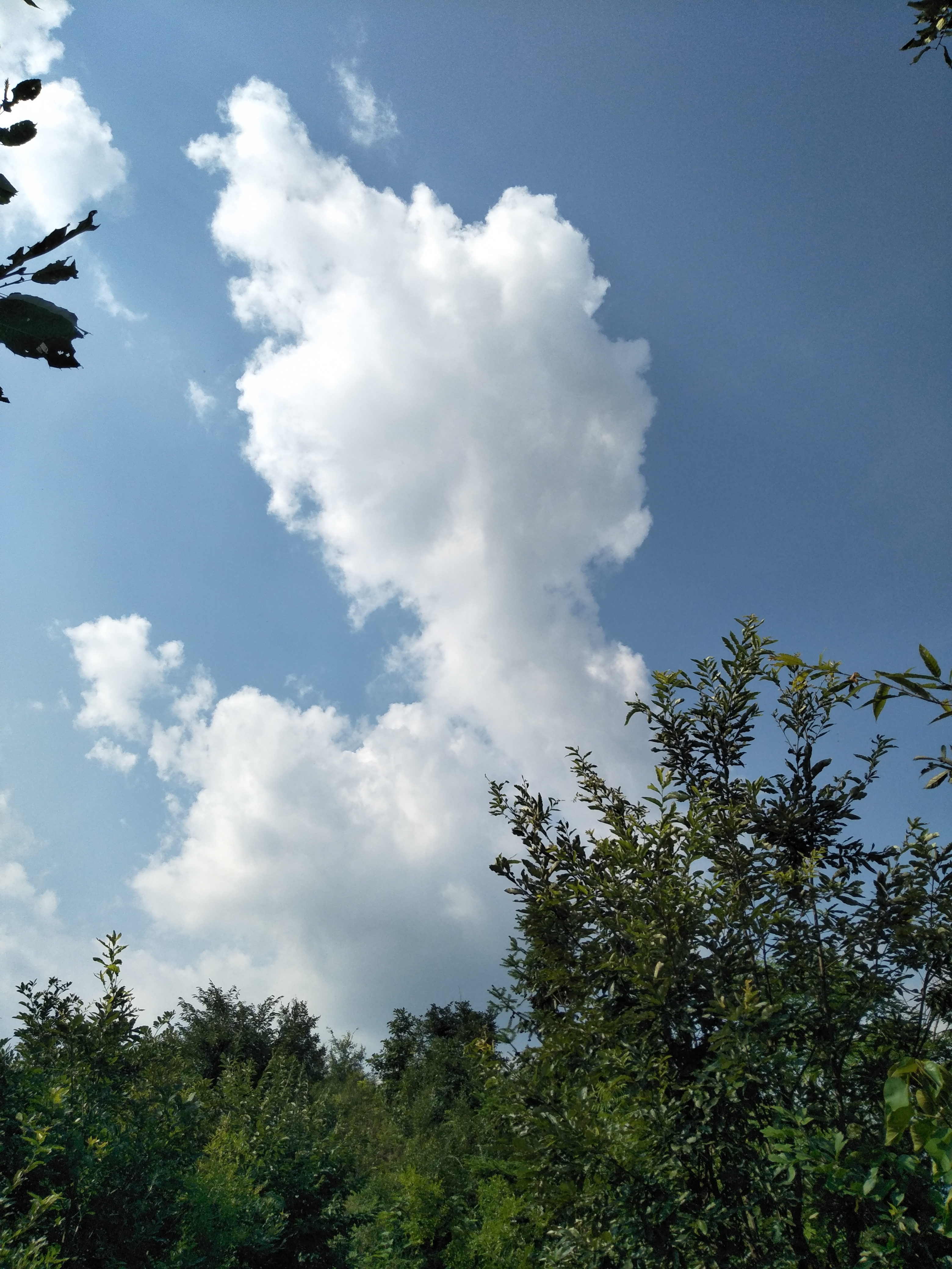 宝天曼景区最佳旅游季节,南召县宝天曼风景区