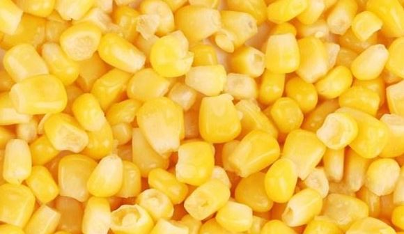 简单好用的玉米粒饵,野钓玉米粒饵最好用的是哪一款