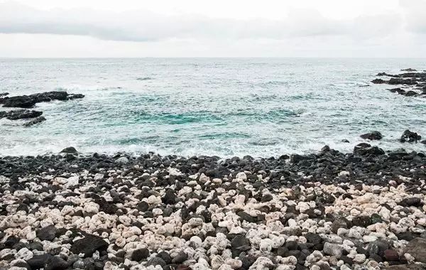 出国旅游千万别贪小便宜,出国游这些禁忌不能碰要谨记