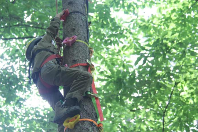 你的夏天又闷又热？不好意思，我们的Summer又清爽又有趣~