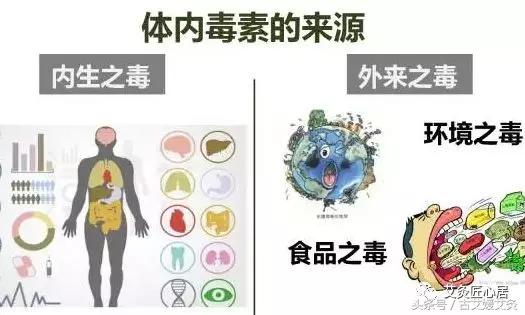 夏天排毒祛湿最快的方法,夏天排湿排毒